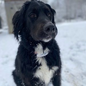 Meet your Posher, Antonia